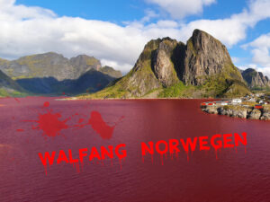 Walfang Norwegen