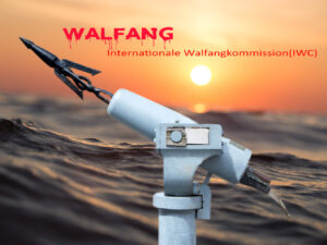 IWC Walfang